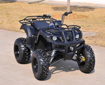 China Strong Powerful Engine Utility ATV Four Wheels With Speed Meter and Winch for sale