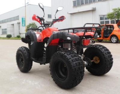 China Adult Utility ATV Quad Bike / Electric 150CC ATV Spy Racing Quad With Trailer for sale