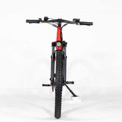 China Powerful Aluminum Alloy Offroad 17ah Hidden 48v 1000w E Bike Ultra Mid Drive Electric Bike M620 Full Suspension Mtb Ebike Fat for sale