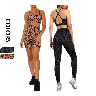 China Wholesale Breathable 3PCS BBSY26074 Women XL Activewear Sets Leopard Print Activewear Women Two Piece Set Clothing Plus Size Yoga Wear for sale