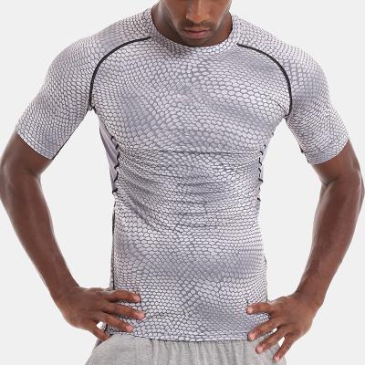 China BBWY0055 Outdoor Snake Printing Best Selling Anti-Wrinkle Training Mens Yoga Sports T-Shirt for sale