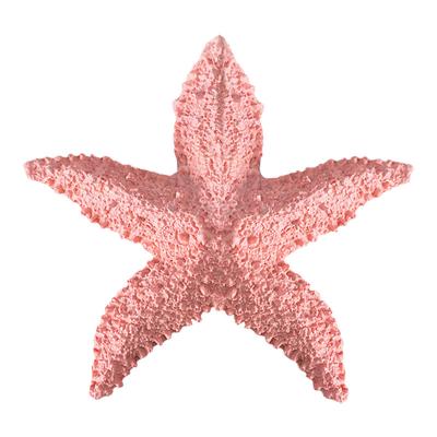 China Mediterranean creative starfish resin five-finger North Europe style wall stickers decorative wall decoration for sale