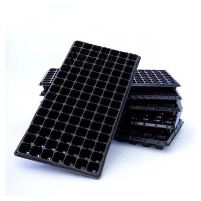 China Environmental protection plastic agricultural seedling tray, fleshy seedling tray, 105 hole catch tray for sale