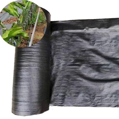 China Permeable Corrosion Proof Weed Killer Weed Control Professional Weed Plastic Weave Cloth for sale