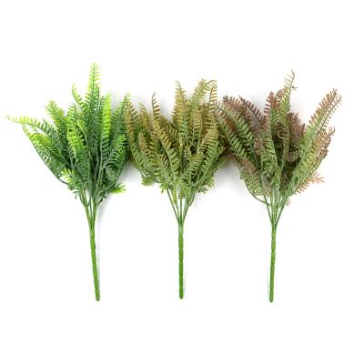 China Indoor Seed Warm Green Leaf Plantain Home Decor Project Flower and Plant Gardening Decorative Wall With Grass for sale