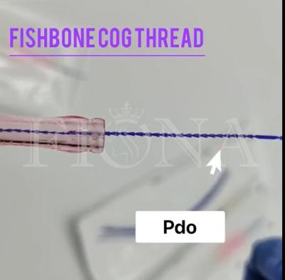 Cina Filo del dente del modanatura del Fishbone di PDO per il braccio del controllo dell'occhio del fronte che di sollevamento 18G100MM in vendita