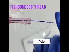 Fishbone Molding Cog Thread Strong Scuplted