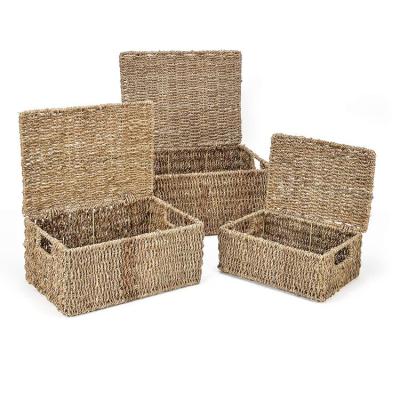 China Handmade classic/postmodern rectangular woven storage basket lids new by plant plankton for sale