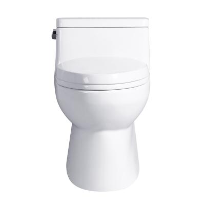 China Double-Flow Side Lever Price 4.8L Single Flush Equipment Good Piss WC Toilet for sale