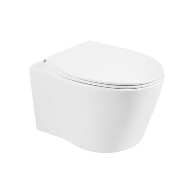 China Concealed Cistern Rimless Wall-hung Toilet With High End Bidet European Standard 210 for sale