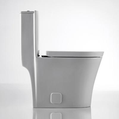 China Watersense MaP1000g cUPC New Double-Flow Modern Ceramic Toilets One Piece WC Low Price Modern Type for sale