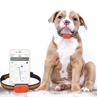 China Pet Mini Gps Tracker For Pet Small Pet Collar Tracking Devices For Dogs Cat for sale