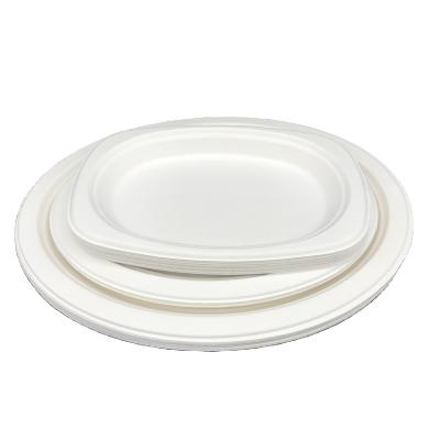 China Environmentally Friendly Disposable Biodegradable Pulp Tray Oval Pulp Dinner Plate Paper Plate Tableware Pulp Dish Sugar Cane for sale