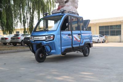 China Gesloten Elektrische Pick-ups Elektrische Drie Wheeler Pickup Tricycle Te koop