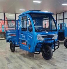 Китай мотоцикл груза Trike открытого электрического груза 1500W электрический продается