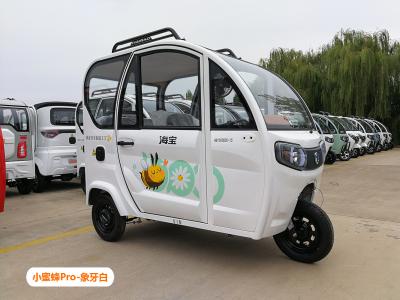 China Großer Raum-schloss elektrische Passagier-Dreiradstraße legales elektrisches Trike ein zu verkaufen