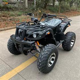 China Transporte eléctrico universal de Off Road Atv todos los vehículos de Off Road del terreno en venta