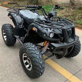 Chine 1500W électrique tout le passager Atv de véhicules de terrain tout le véhicule de terrain à vendre