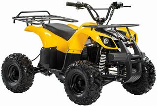 China Yellow Electric All Terrain ATV UTV  Passenger All Terrain Utility Vehicle for sale