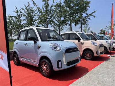 China 3000 Watt Vierrad-Elektroauto Elektrische Fahrgast-Komfortabel-Wohnwagen zu verkaufen