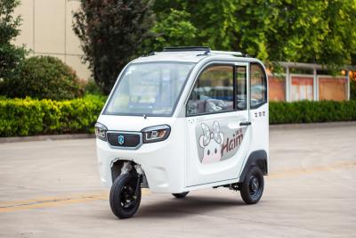 China triciclo eléctrico del triciclo del pasajero 800W de los adultos de la rueda eléctrica del pasajero 3 en venta