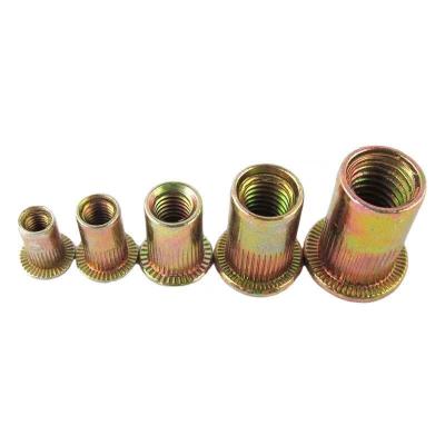 China Wholesale Heavy Industry Flat Pressure Threaded Insert Head Rivet Nuts M6 Carbon Steel Knurled Closed Rivet Nuts for sale