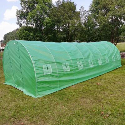 China Stable Structure Easily Assembled Project Low Cost Green House Plastic Sheet Single-span Greenhouse Turnkey Manufacturer With Hydroponics System for sale