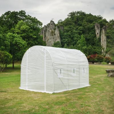 China Stable Structure Easily Assembled Portable Agriculture PE Plastic Sheet Tunnel Galvanized Frame Greenhouse for sale