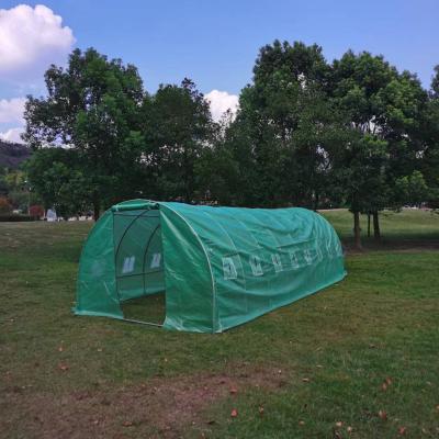 China Stable Structure Easily Assembled Standard 8*3 Meter Commercial Plastic Sheet Agriculture Tunnel Greenhouse Low Cost Green House for sale