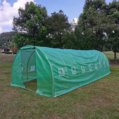 China Stable Structure Easily Assembled Tunnel Poly Berry Greenhouse Good Quality Green House Poly Tunnel Low Cost Hot Sale for sale