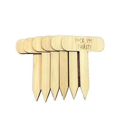 China Bamboo Seedling Tray Mark Tools Garden Decoration Herb Tags Markers Nursery Plywood Pots Garden Custom Bamboo Plant Labels for sale