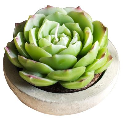 China Cement Basin with 3 Mini Desert Succulent Plants Shaped Candle Decorations/Mantel Candle Assortment for sale