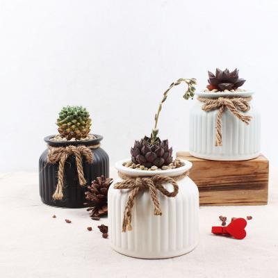 China Europe round shape custom logo matte decoration black home pieces ceramic succulent planter for garden supplies for sale