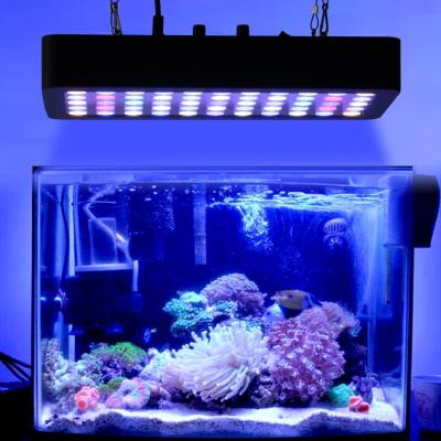 China Cheap Price 55x3w Led Aquarium Light Dimmable Function For Aquarium And Coral Reef Plants DXG-SZD165W for sale