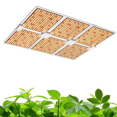 China Seed Starting 720W Led Growing Light For Indoor Plants High PPFD Led Grow Light For Hydroponic Seeding Veg And Flower for sale