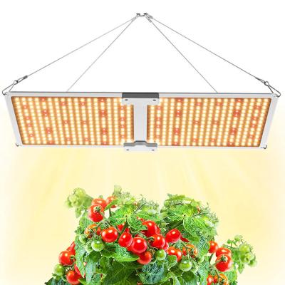 China Seed Seed Growing 2021 Commercial Waterproof IP65 240w Dimmable Full Spectrum Hydroponic Plant Led Growing Light for sale