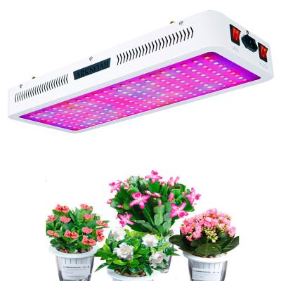 China Seed Starting 2000W Led Grow Light 4x4ft Cover Full Spectrum Grow Lamp For Indoor Plants Daisy Chain 85-265Vac VEG Flower Light for sale