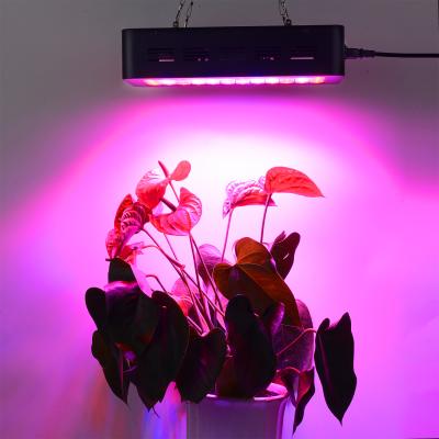 China Seed Starting 600 Watt LED Grow Light Multiple Spectral Combinations To Suit The Growth Of Different Plants At All Stages for sale