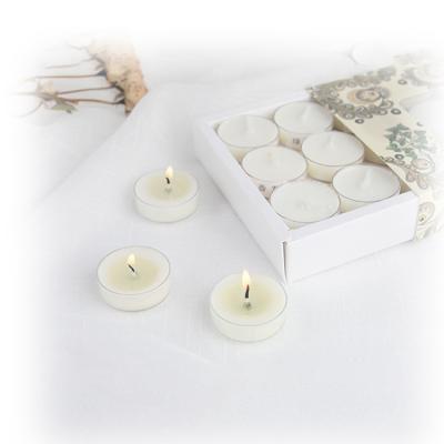 China Scented / Unscented Coconut Tea Lights Candle Small Scented Candles Plastic Tealight Candle for sale