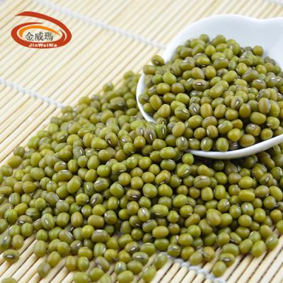 China wholesale premium quality mung bean grains vigna green medium beans all year round availability export northeast mung beans for sale