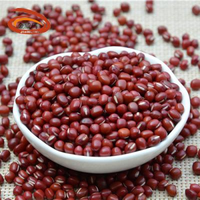 China Year Round Availability Wholesale Non-GMO Kidney Beans For China Export Red Beans Sugar Natto Adzuki Dwarf Beans Best Price for sale