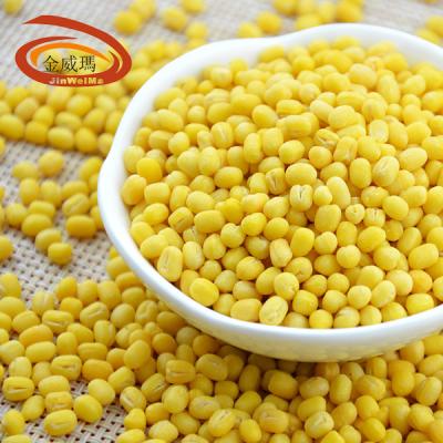 China Myanmar green big mung beans dry grains peeled yellow beans yellow moong mung bean protein daal for sale