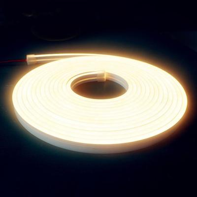 China LANDSCAPE Led Strip Light Neon Lamp Outdoor Strip With Custom Length USB 5V/12V Neon Strip Flex Tube Rope for sale