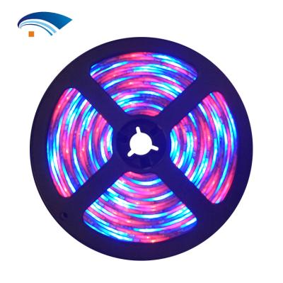 China Latest LANDSCAPE Design Flexible Led Christmas Light Strip Colored Led Lights for sale