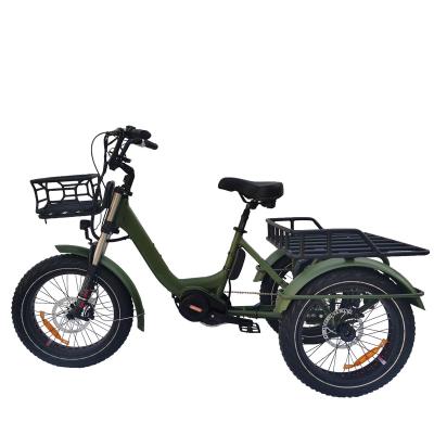 China 1000w Aluminum Alloy 20inch Mid Drive 3 Wheel Electric Bicycle Fat Tire Three Wheel Electric Bike Mountain E Tricycle for sale