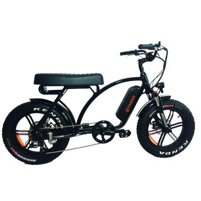 China Halle Big Saddle Aluminum Alloy 20inch Lithium Battery Fat Tire Electric Bike for sale