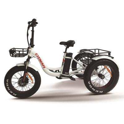 China Hot Sale 2019 Aluminum Alloy Cargo Tricycle 48V Front Hub Motor 3 Wheel Electric Fat Tire Mountainbike for sale