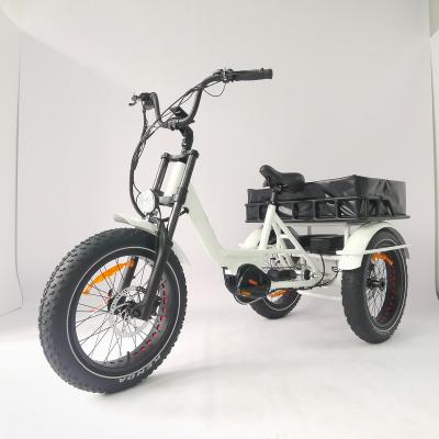 China Aluminum alloy new 2022 year pedal model electric tricycle in good quality multifunctional factory direct adult tricycle sales for sale