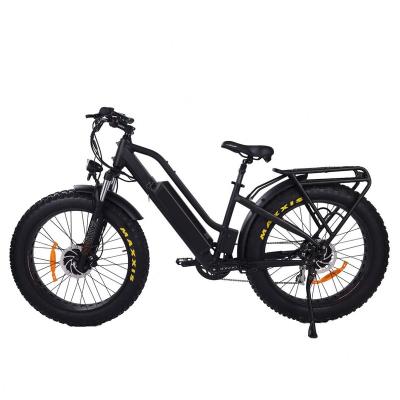 China 26*4.8 alloy electric bike 1000w rear aluminum drive or 750w double motor fat bike mountain bike electric bicycle torque sensor for sale