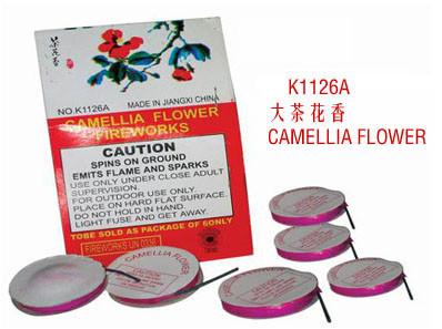 China Camellia Flower(L) for sale